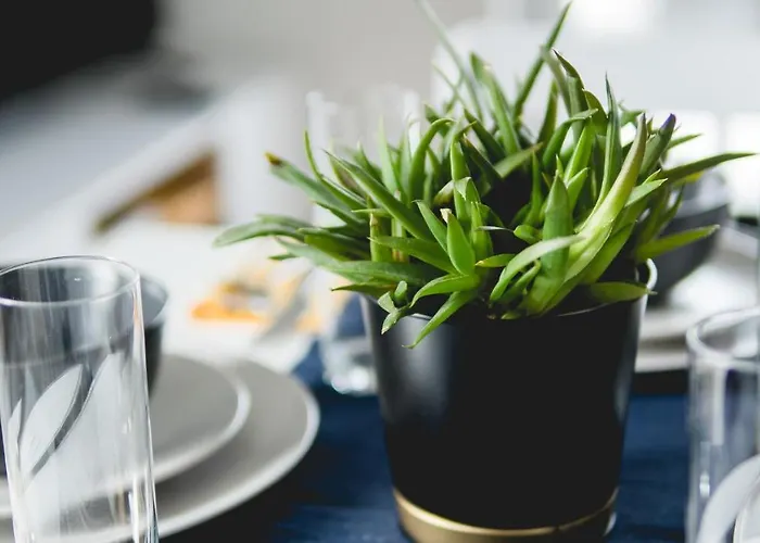 Marbud Przy Aquaparku Reda *